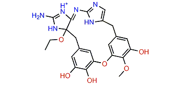 Leucettazole B1